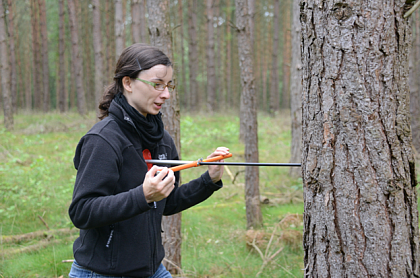 Taking wood cores in the Mritz National Park (Photograph: Helge Bruelheide)