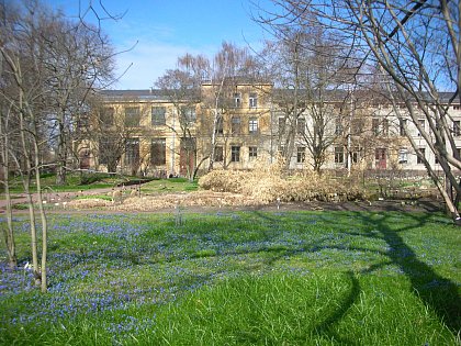 Frhling im Botanischen Garten, 2014 