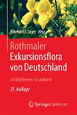 Gefäßpflanzen: Grundband