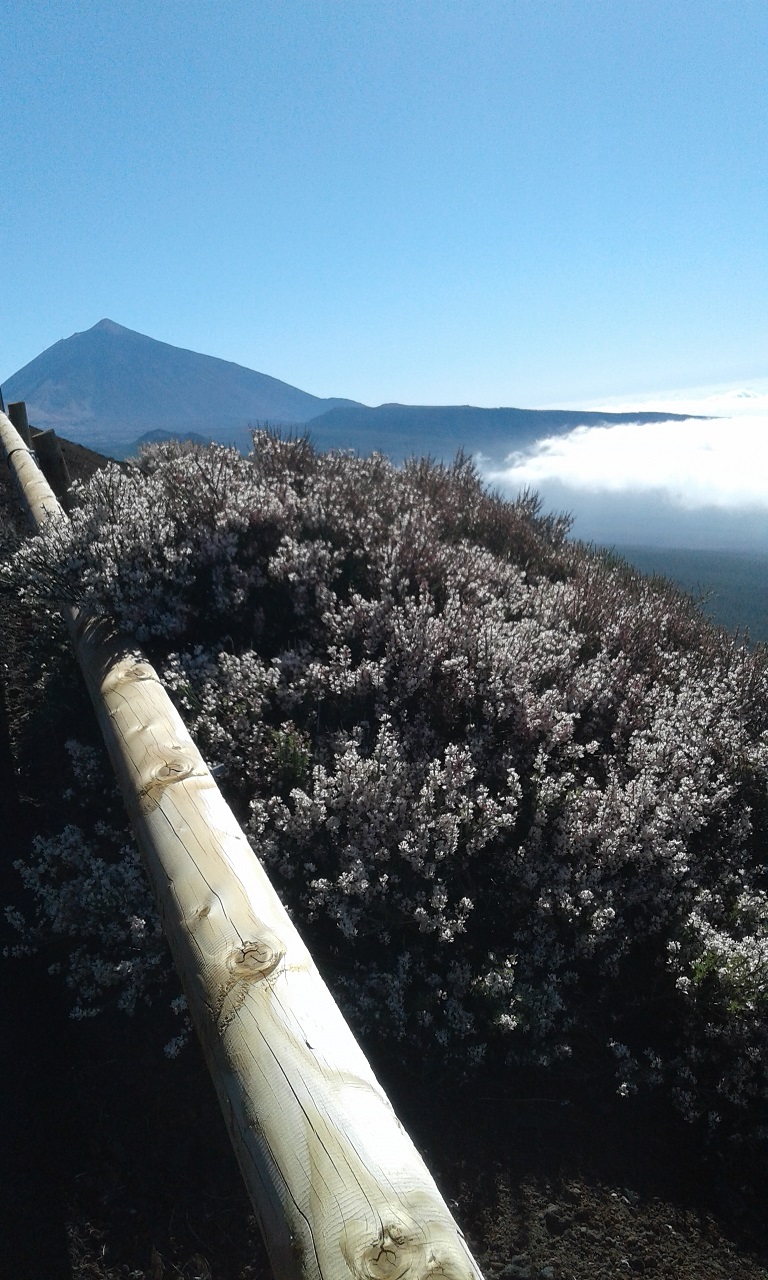 Teide mountain