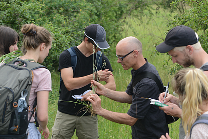 Student course on critical grass taxa (Photograph: Helge Bruelheide)