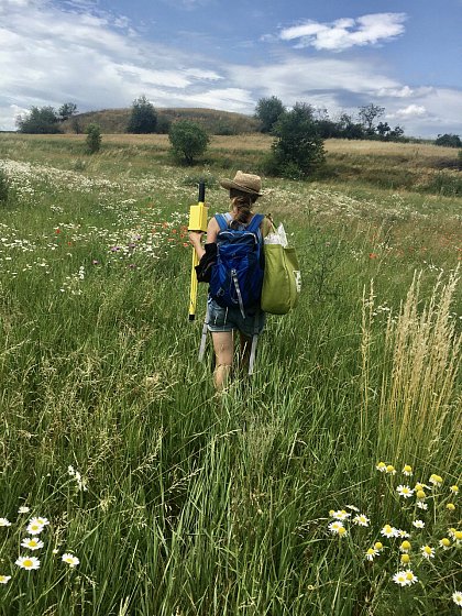 Me at work, Porphyry Hillcape Gimritz/Brachwitz