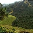 Ökosystemfunktionen in tropischen Wäldern